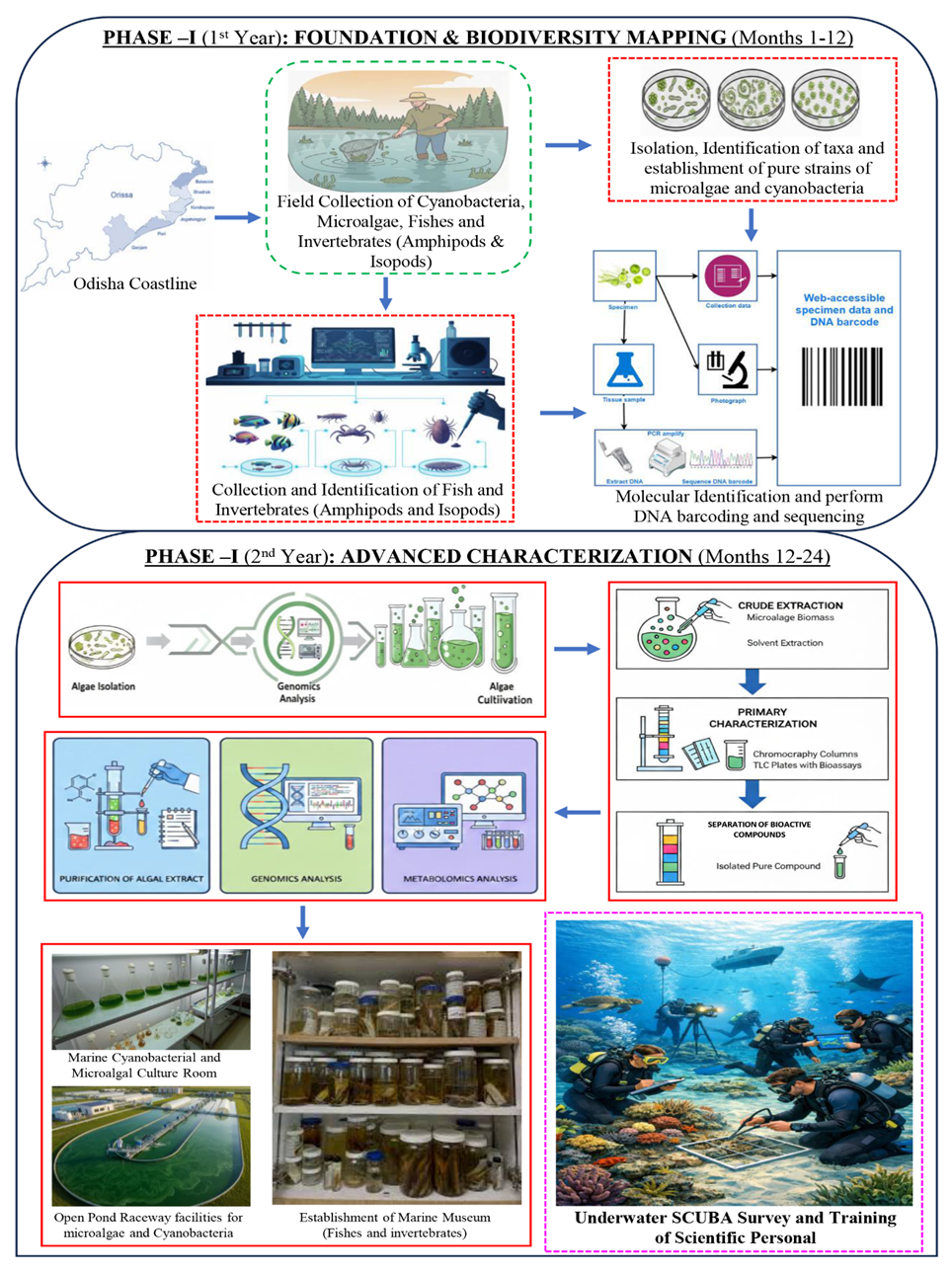 Berhampur University flowchart