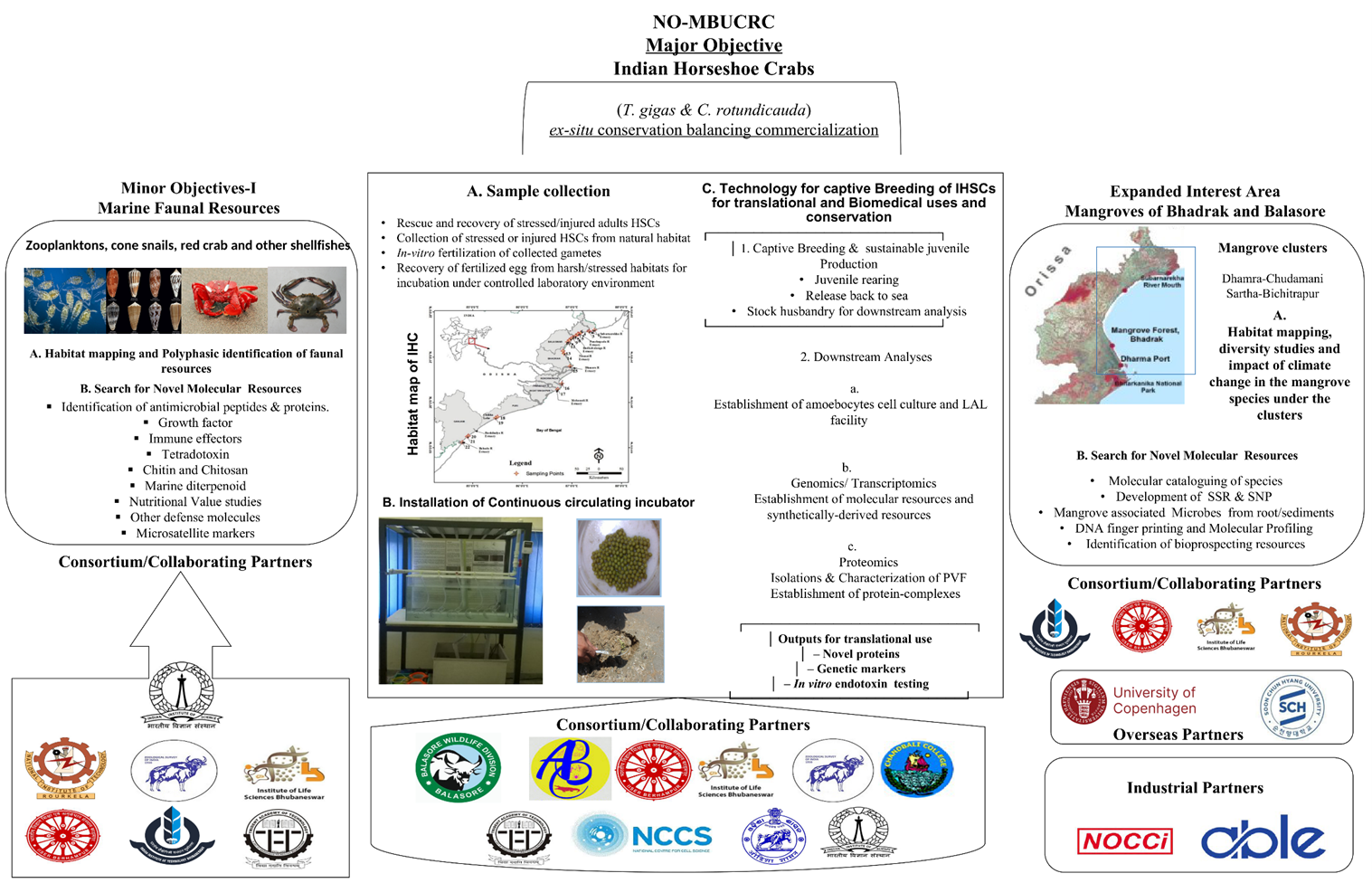 Fakir Mohan University flowchart