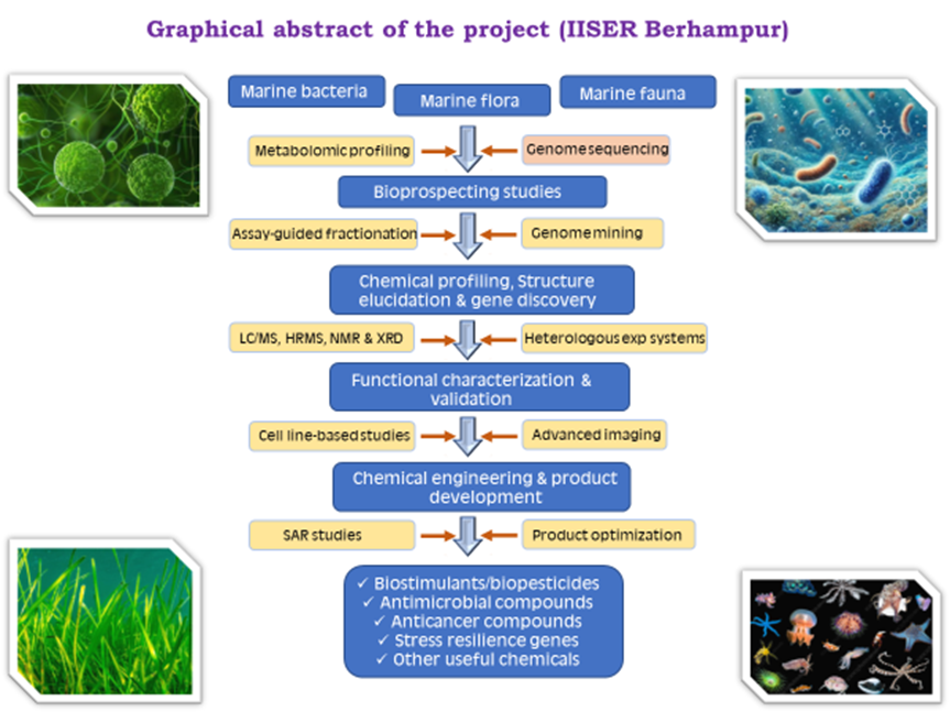 IISER Berhampur flowchart