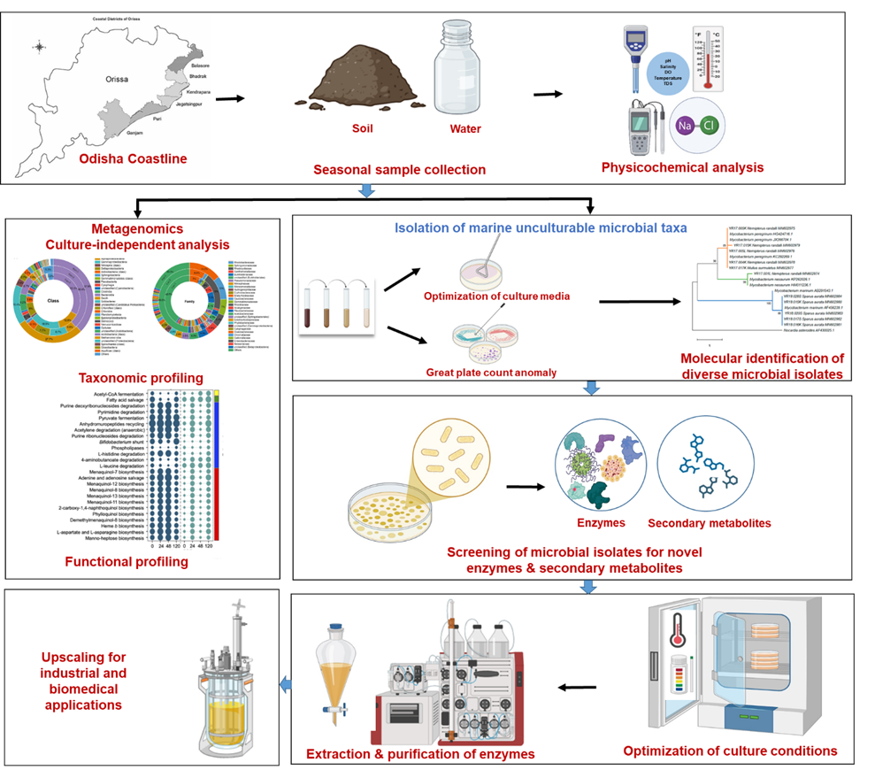 NIT Rourkela flowchart